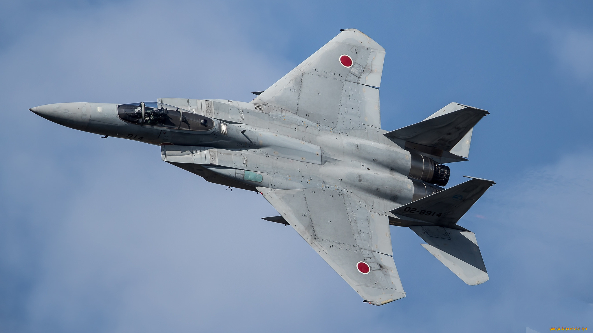eagle, ,  , 